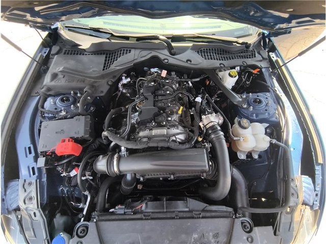 2024 Ford Mustang EcoBoost Premium Convertible 2D