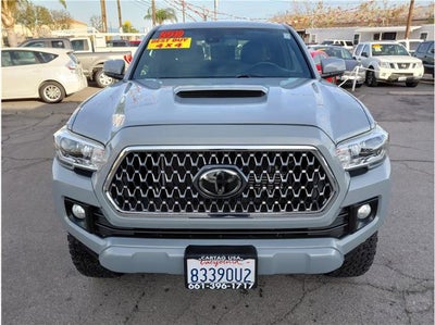 2019 Toyota Tacoma 4WD TRD Sport Pickup 4D 5 ft
